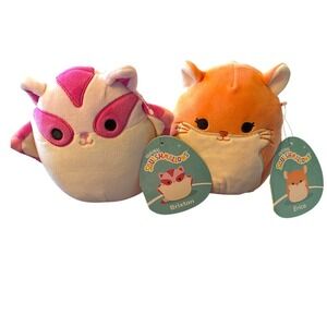 Squishmallows Brixton Raccoon Erica Fox Plush Stuffed Animal Set New Tags
